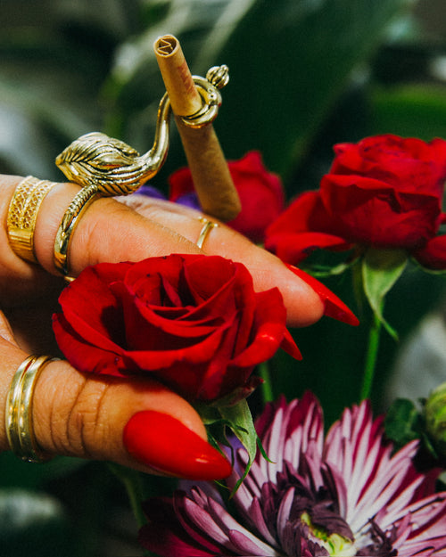 The Flamingo Ring